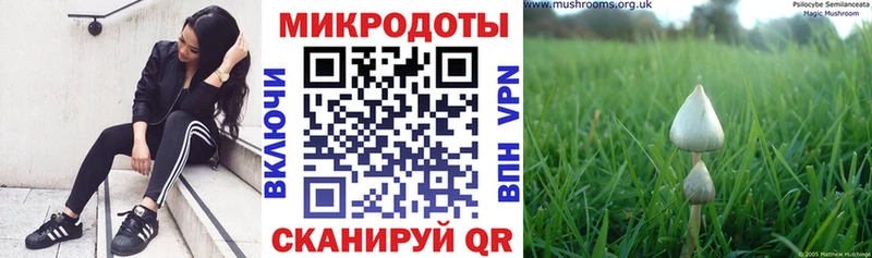 Галлюциногенные грибы Cubensis  Сосенский 