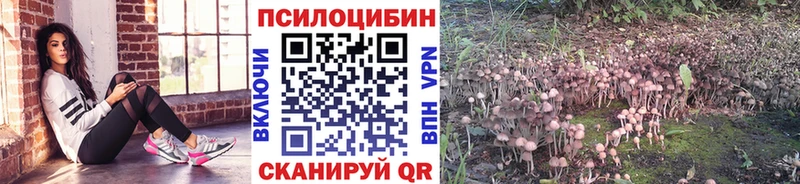 Псилоцибиновые грибы GOLDEN TEACHER Сосенский