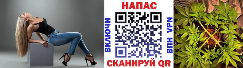 продажа наркотиков  Сосенский  Канабис OG Kush 